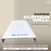 Caping Curtain Wall - CA / Silver