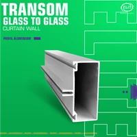 Transom Glass to glass Curtain Wall Economy - CA / Silver